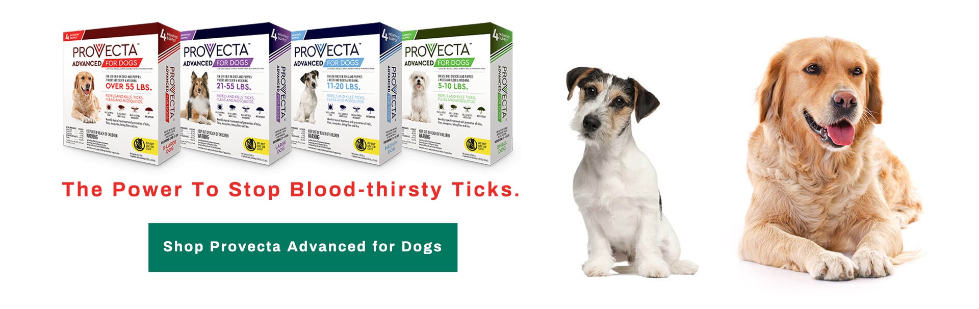 Shop Povecta Advanced for Dogs